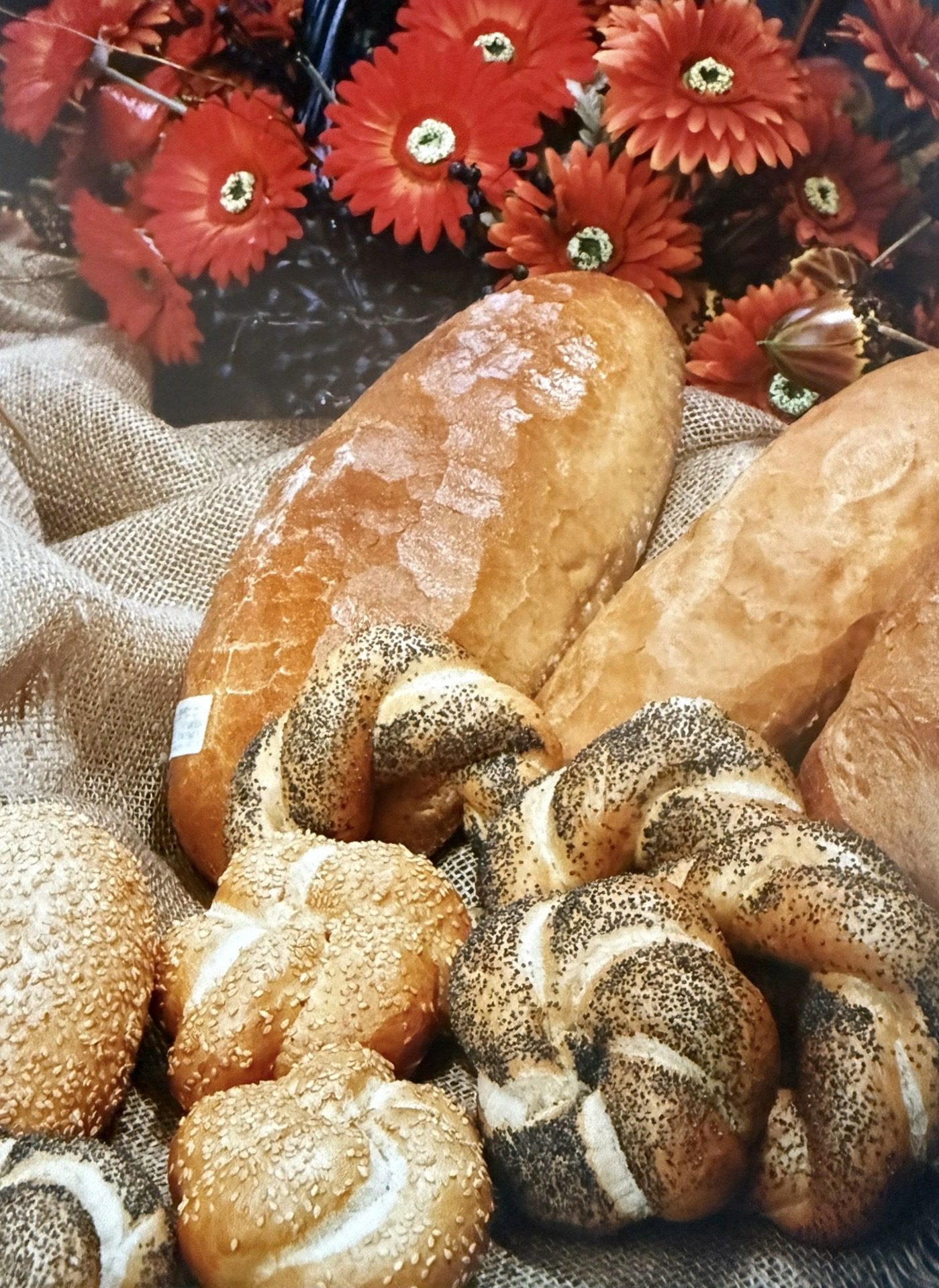 1a5001c4 13f8 4997 ac8b f53141330d47