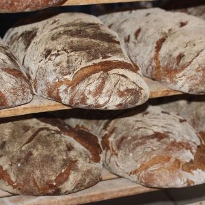 bread, loaves, bakery, loaves of bread, fresh bread, freshly baked, dough, artisan bread, flour, yeast, food, healthy, carbohydrates, baker, homemade, baked, baked goods, bread, bread, bread, bread, bread, bakery